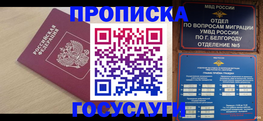 прописка законно в Шуе